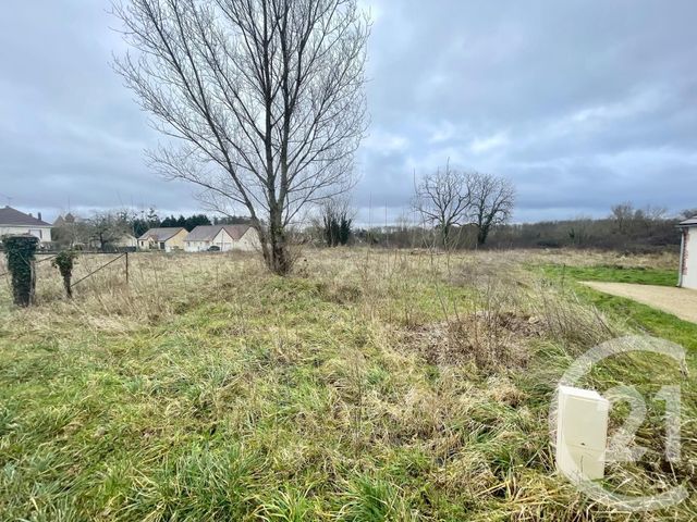 Terrain à vendre - 7492 m2 - Mur De Sologne - 41 - CENTRE