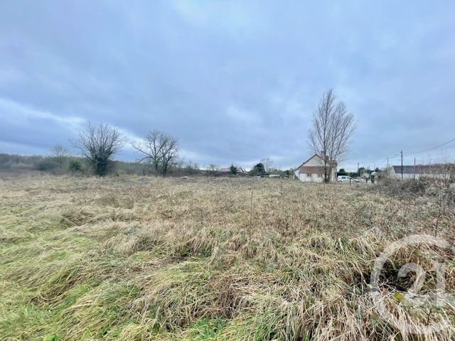 Terrain à vendre - 7642 m2 - Mur De Sologne - 41 - CENTRE